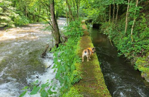 Treignac Apartment | Chambre Familiale
