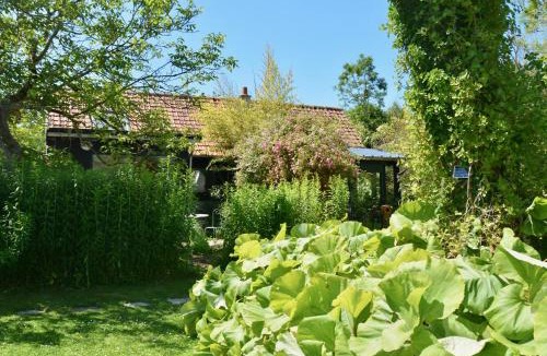 La Madelaine-sous-Montreuil House | Chambres d'hôtes, Gîtes La Petite Madeleine