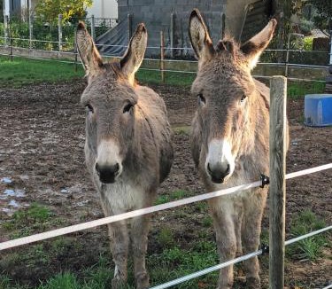 Mison House | Chambre