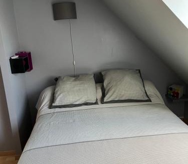 Roeze-sur-Sarthe Bed & Breakfast | Chambre