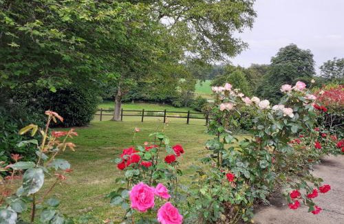 Saint-Ouen-des-Alleux Bed & Breakfast | Chambre à la campagne