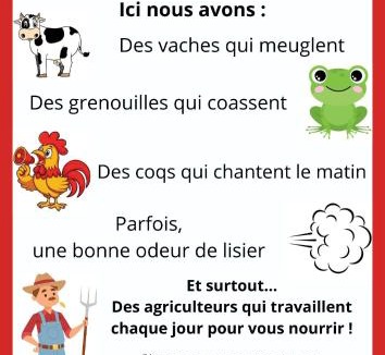 La Roche-sur-Yon House | Chambre hibiscus