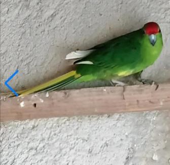 Uzech Bed & Breakfast | Chambre hotes les oiseaux