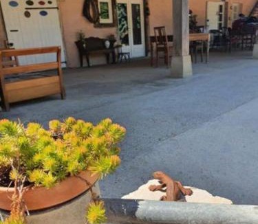 Marboz Apartment | chambre indépendante