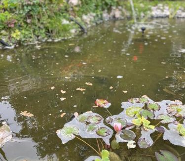 Ecourt-Saint-Quentin Bed & Breakfast | Chambre marais