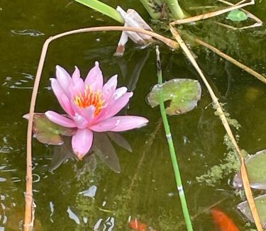 Ecourt-Saint-Quentin Bed & Breakfast | Chambre marais