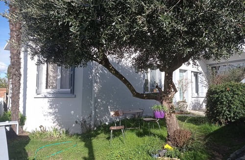 Pont des Demoiselles-Montaudran-La Terrasse Bed & Breakfast | Chambre Meublee Independante. Piscine:jardin