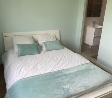 Laigne-en-Belin House | Chambre moderne 24h du Mans 10 min du circuit SDB privative