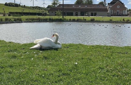 Coupelle-Vieille Bed & Breakfast | Chambre Philippe de Croy