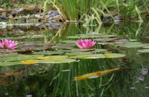 Argentieres Bed & Breakfast | Chambre privée chez l'habitant