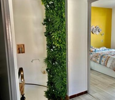 Albi House | Chambre privée chez l'habitant