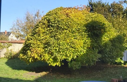 Boiscommun Bed & Breakfast | Chambre privée +thé et café