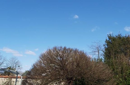 Boiscommun Bed & Breakfast | Chambre privée +thé et café