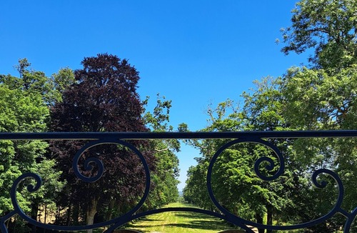 Agy Bed & Breakfast | Chambre Sibylle, Château D'agy