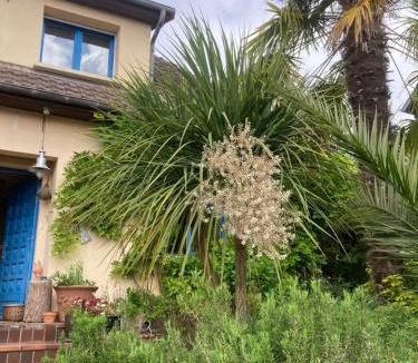 Mondeville Bed & Breakfast | Chambre spacieuse et lumineuse