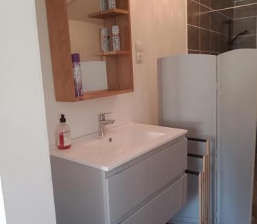 Ytres Apartment | Chambre-Studio en rez-de-jardin