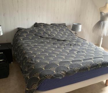 Ruaudin House | Chambres à louer