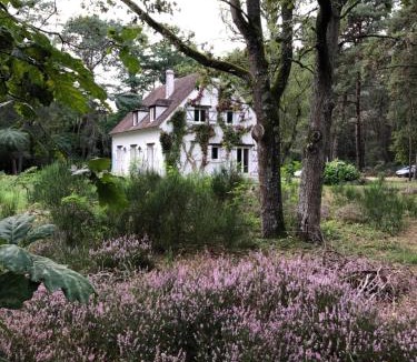 Noisy-sur-Ecole Bed & Breakfast | Chambres au coeur du Massif des Trois Pignons