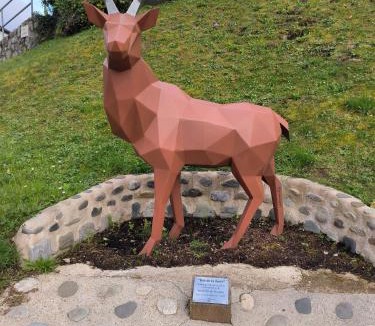 Saint-Pe-de-Bigorre House | Chambres cosy