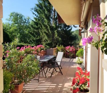 Geiswiller Bed & Breakfast | Chambres D'hôtes - Suite Pampas