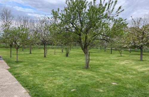 La Vaupaliere Bed & Breakfast | Chambres d'Hôtes Lambert Rouen
