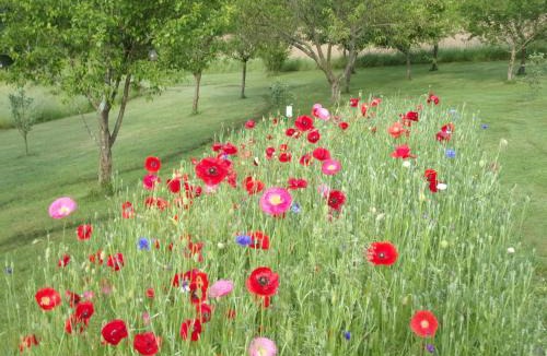 Sainte-Anne-Saint-Priest Bed & Breakfast | Chambres d'Hôtes La Chouette