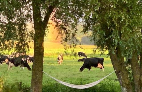 Audouville-la-Hubert House | Chambres d'hôtes de charme