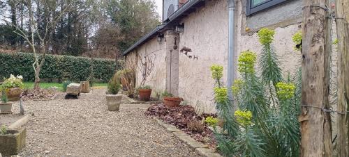 Cerans-Foulletourte Bed & Breakfast | Chambres D'hôtes Les Préaux -