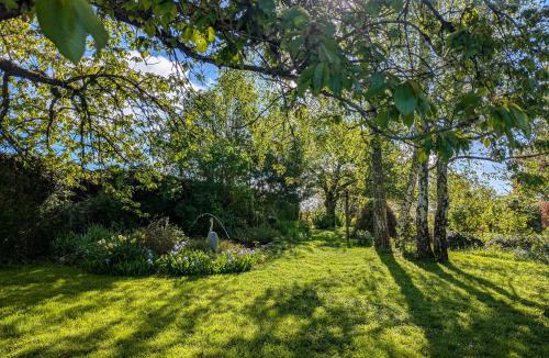 Chatillon-sur-Indre Bed & Breakfast | Chambres d'hôtes avec jardin près des châteaux de la Loire - FR-1-591-666