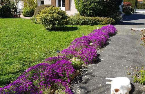 Chatillon-sur-Indre Bed & Breakfast | Chambres d'hôtes au calme près des Châteaux et Zoo de Beauval - FR-1-591-686
