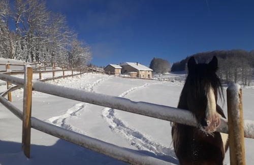 Lamoura Bed & Breakfast | Chambres d'hôte des 3 Marches