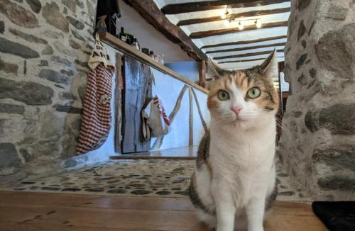 Les Bordes-sur-Lez Bed & Breakfast | Chambres d'hôtes Les Chatougoulis