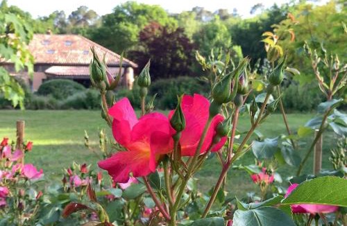 Pontonx-sur-l'Adour Bed & Breakfast | Chambres d'hôtes à Pontonx