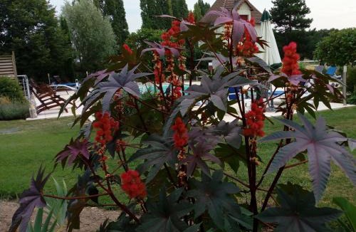 Bossee House | Chambres d'hôtes Au Clos de Beaulieu