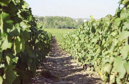 Fleurie Bed & Breakfast | Chambres d hôtes au Domaine de Robert