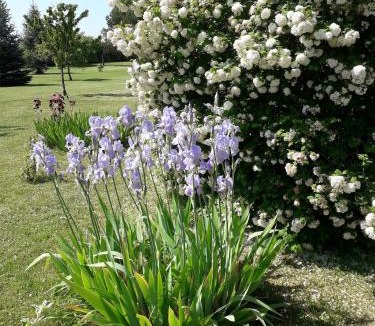 Eaux-Puiseaux Bed & Breakfast | Chambres d'hôtes Chez Mathilde