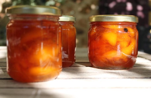 Saint-Avit-Riviere Bed & Breakfast | Chambres d'Hôtes Léone Haute