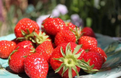 Saint-Avit-Riviere Bed & Breakfast | Chambres d'Hôtes Léone Haute