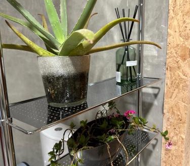 Avion Apartment | Chambres d'Hôtes Goudin