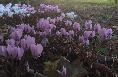 Berry-Bouy Bed & Breakfast | Chambres d'Hôtes Grand Bouy
