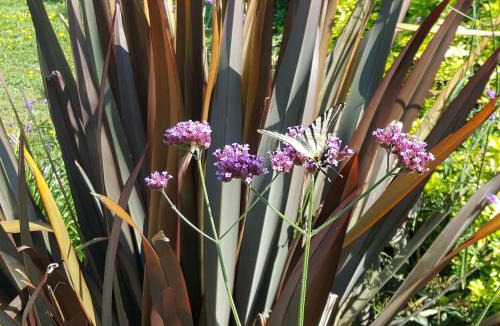 Yvre-l'Eveque Bed & Breakfast | Chambres d'Hôtes La Bréachère