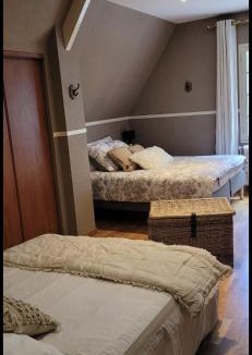 Chanteloup Bed & Breakfast | chambres d'hôtes, La cime des pins