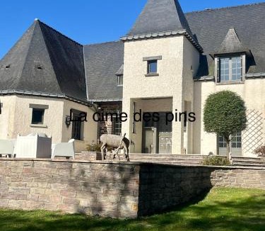 Chanteloup Bed & Breakfast | chambres d'hôtes, La cime des pins