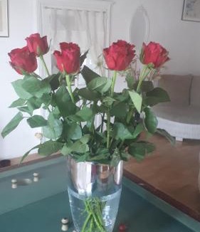Corpe Bed & Breakfast | Chambres d'hôtes La Frise