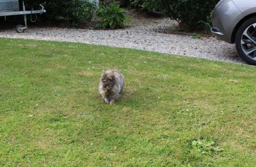 Ryes Bed & Breakfast | Chambres d'Hôtes La Gloriette