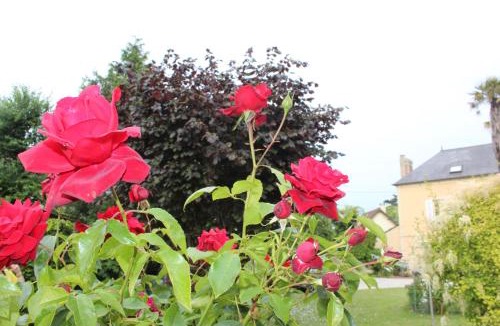 Ryes Bed & Breakfast | Chambres d'Hôtes La Gloriette