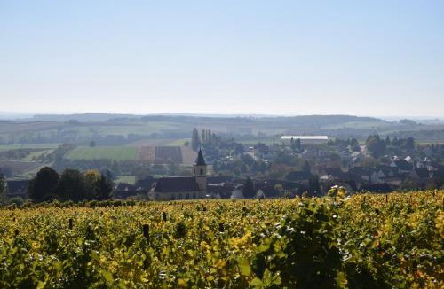 Rott Bed & Breakfast | Chambres d'hôtes "La Petite Vallée"
