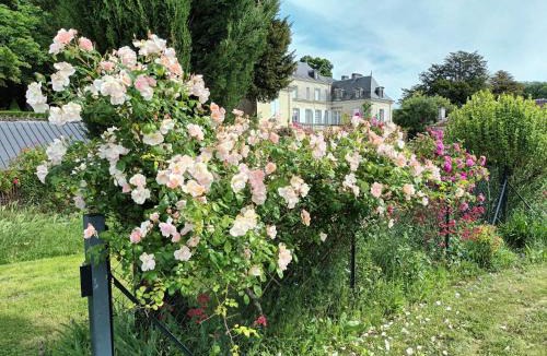 Thure Bed & Breakfast | Chambres d'Hôtes Le Château de la Plante