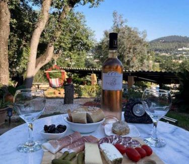 Hyeres Bed & Breakfast | Chambres D'hôtes - Le Mas Du Rocher