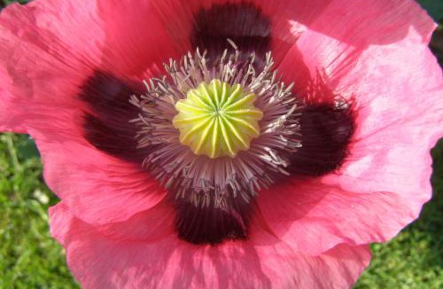 Saint-Paul Bed & Breakfast | Chambres d'hôtes les Denias